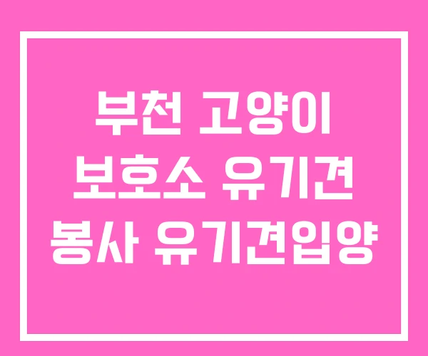 부천 고양이 보호소 유기견 봉사 유기견입양 부천 고양이 보호소 유기견 봉사 유기견입양