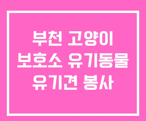 부천 고양이 보호소 유기동물 유기견 봉사