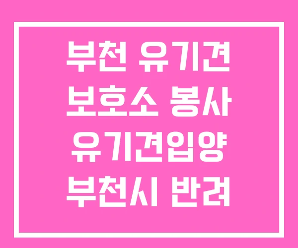 부천 유기견 보호소 봉사 유기견입양 부천시 반려 동물 부천 유기견 보호소 봉사 유기견입양 부천시 반려 동물