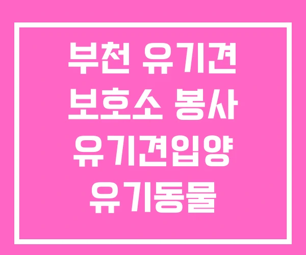 부천 유기견 보호소 봉사 유기견입양 유기동물 입양사이트