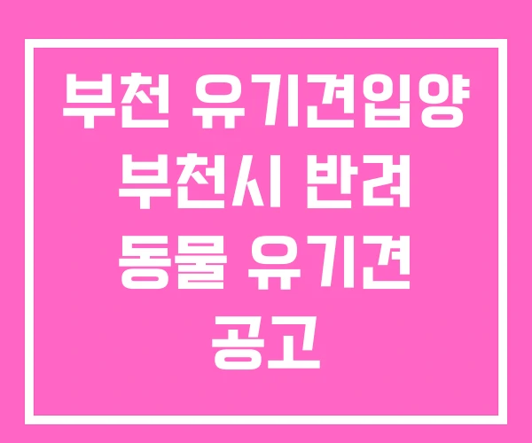 부천 유기견입양 부천시 반려 동물 유기견 공고 부천 유기견입양 부천시 반려 동물 유기견 공고