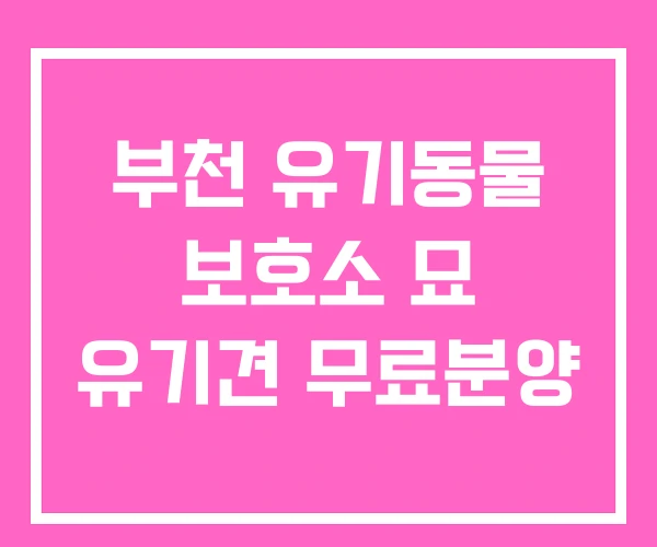 부천 유기동물 보호소 묘 유기견 무료분양