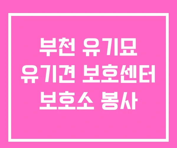 부천 유기묘 유기견 보호센터 보호소 봉사