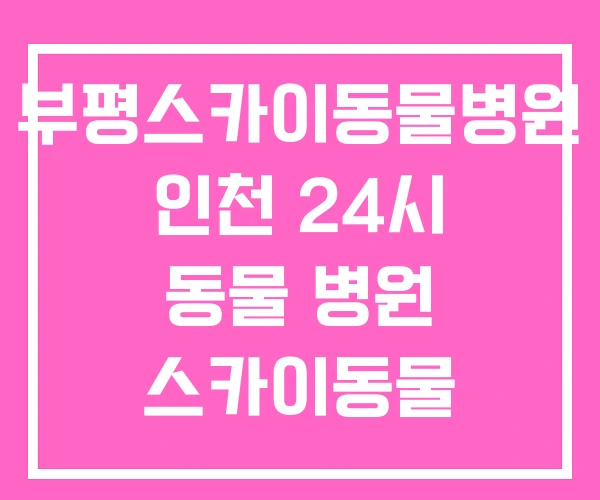 부평스카이동물병원 인천 24시 동물 병원 스카이동물 부평스카이동물병원 인천 24시 동물 병원 스카이동물