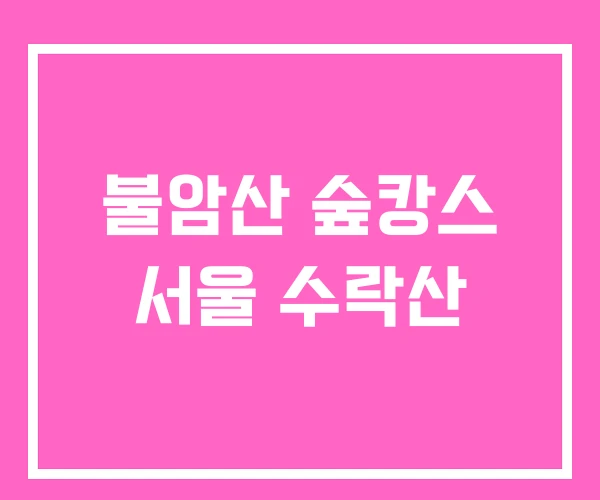 불암산 숲캉스 서울 수락산