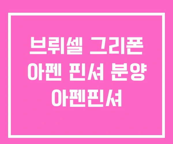 브뤼셀 그리폰 아펜 핀셔 분양 아펜핀셔