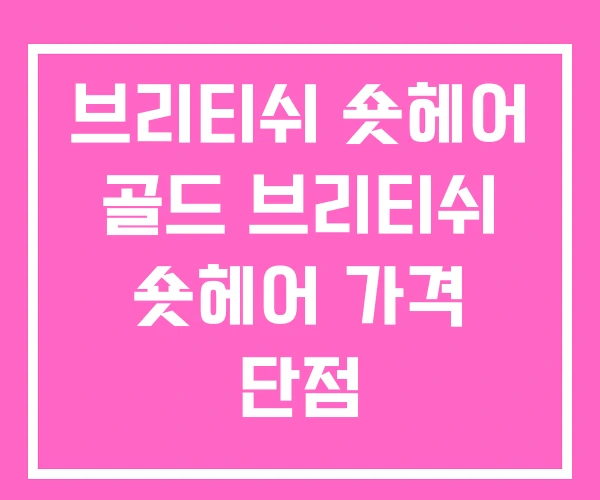브리티쉬 숏헤어 골드 브리티쉬 숏헤어 가격 단점