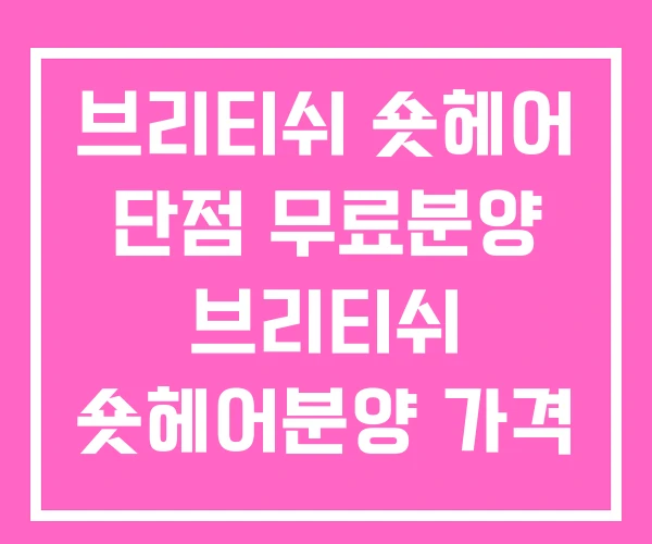 브리티쉬 숏헤어 단점 무료분양 브리티쉬 숏헤어분양 가격