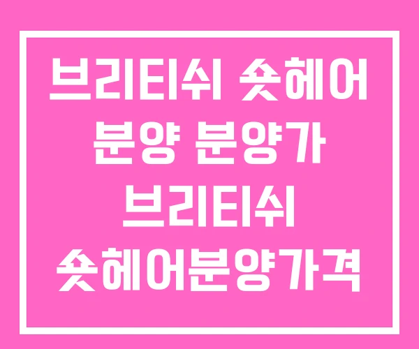 브리티쉬 숏헤어 분양 분양가 브리티쉬 숏헤어분양가격