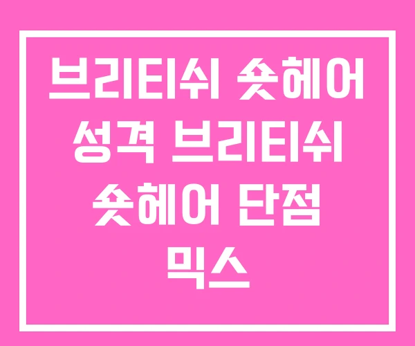 브리티쉬 숏헤어 성격 브리티쉬 숏헤어 단점 믹스