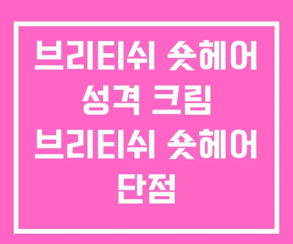 브리티쉬 숏헤어 성격 크림 브리티쉬 숏헤어 단점