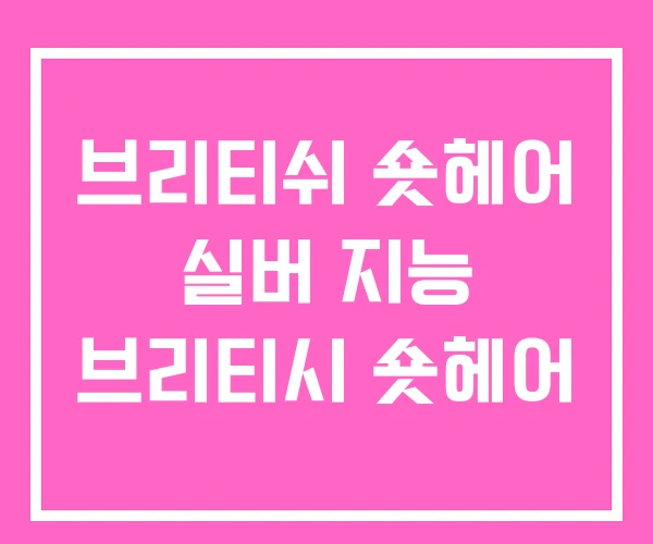 브리티쉬 숏헤어 실버 지능 브리티시 숏헤어