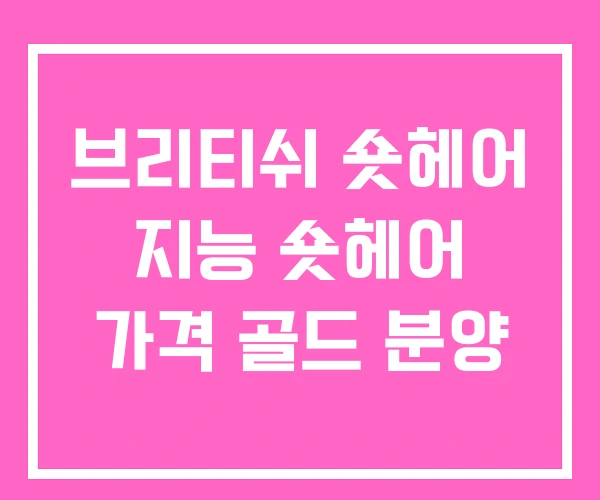 브리티쉬 숏헤어 지능 숏헤어 가격 골드 분양 브리티쉬 숏헤어 지능 숏헤어 가격 골드 분양