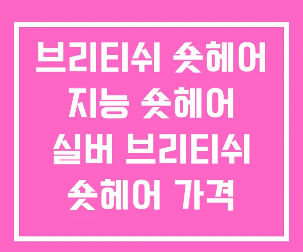 브리티쉬 숏헤어 지능 숏헤어 실버 브리티쉬 숏헤어 가격