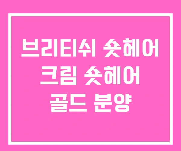 브리티쉬 숏헤어 크림 숏헤어 골드 분양