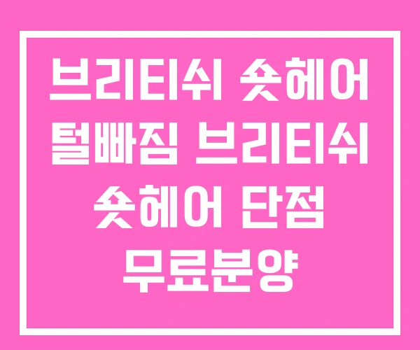 브리티쉬 숏헤어 털빠짐 브리티쉬 숏헤어 단점 무료분양