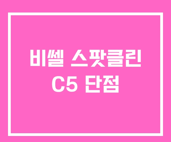 비쎌 스팟클린 C5 단점