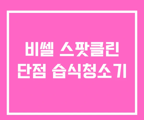비쎌 스팟클린 단점 습식청소기