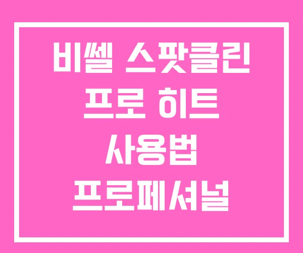 비쎌 스팟클린 프로 히트 사용법 프로페셔널 하이드로 스팀 비쎌 스팟클린 프로 히트 사용법 프로페셔널 하이드로 스팀