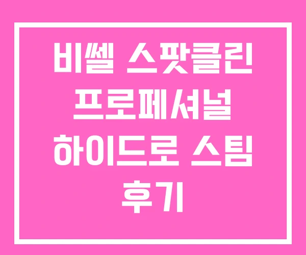 비쎌 스팟클린 프로페셔널 하이드로 스팀 후기