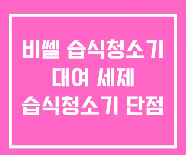 비쎌 습식청소기 대여 세제 습식청소기 단점 비쎌 습식청소기 대여 세제 습식청소기 단점