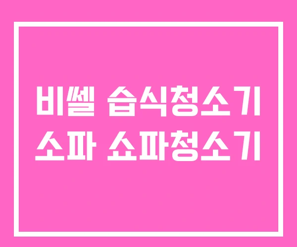 비쎌 습식청소기 소파 쇼파청소기 비쎌 습식청소기 소파 쇼파청소기