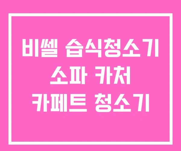 비쎌 습식청소기 소파 카처 카페트 청소기 비쎌 습식청소기 소파 카처 카페트 청소기