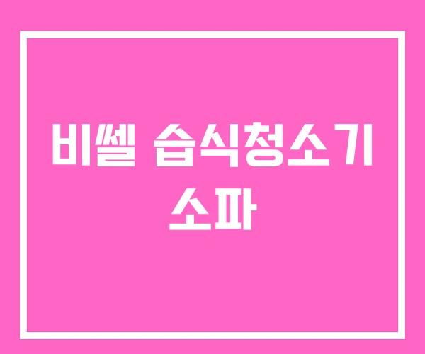 비쎌 습식청소기 소파 비쎌 습식청소기 소파