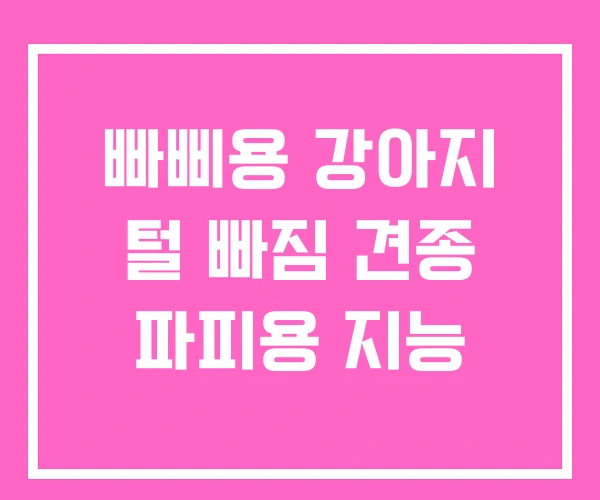 빠삐용 강아지 털 빠짐 견종 파피용 지능
