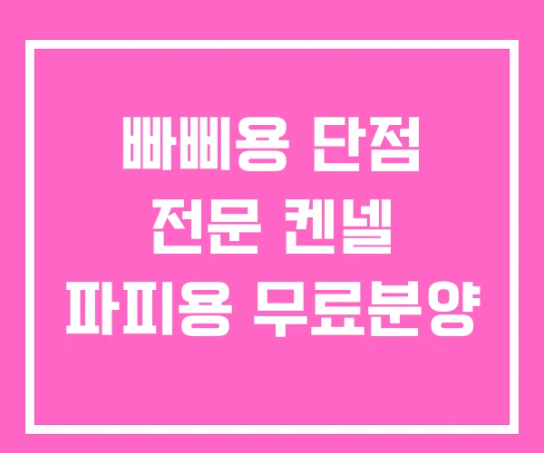빠삐용 단점 전문 켄넬 파피용 무료분양