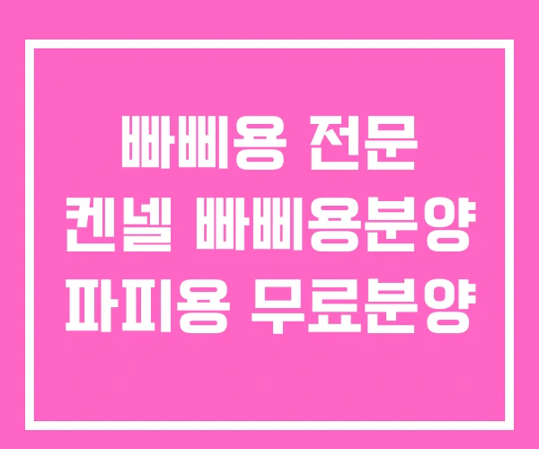 빠삐용 전문 켄넬 빠삐용분양 파피용 무료분양
