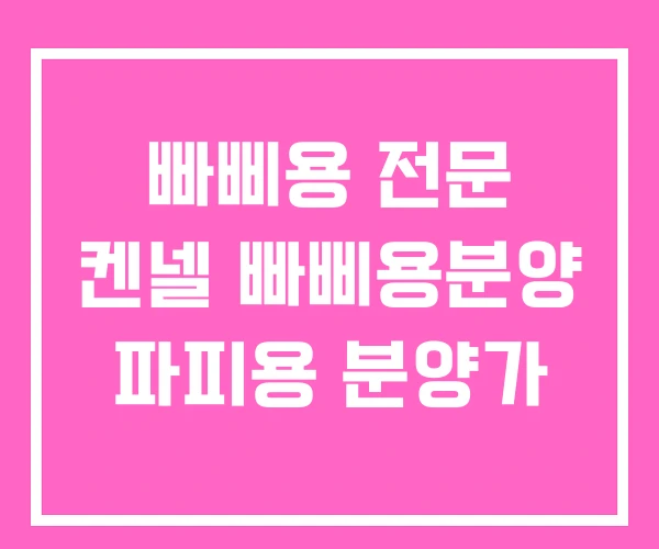 빠삐용 전문 켄넬 빠삐용분양 파피용 분양가 빠삐용 전문 켄넬 빠삐용분양 파피용 분양가