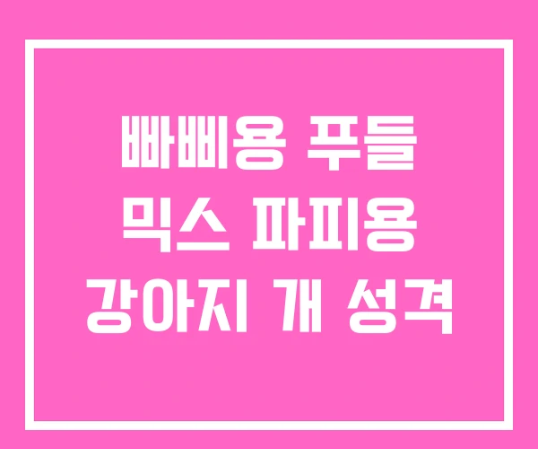 빠삐용 푸들 믹스 파피용 강아지 개 성격