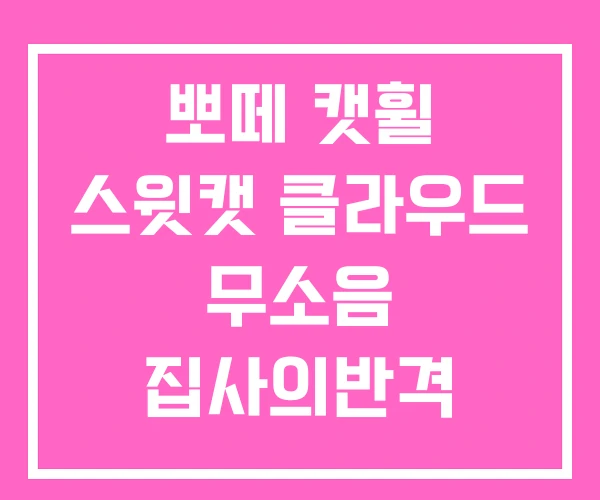 뽀떼 캣휠 스윗캣 클라우드 무소음 집사의반격