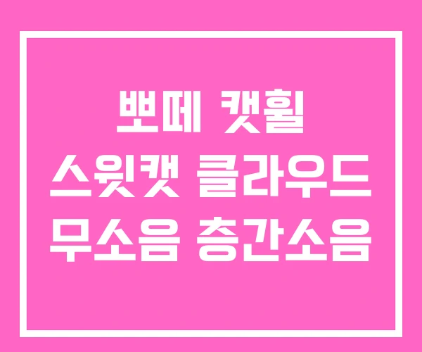 뽀떼 캣휠 스윗캣 클라우드 무소음 층간소음