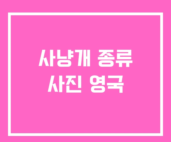사냥개 종류 사진 영국 사냥개 종류 사진 영국