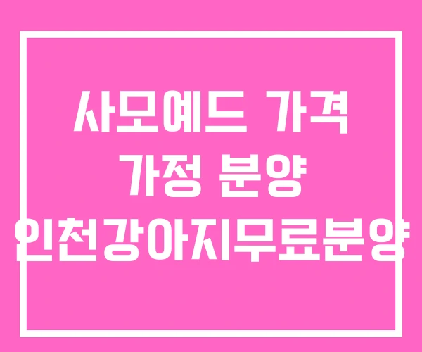 사모예드 가격 가정 분양 인천강아지무료분양