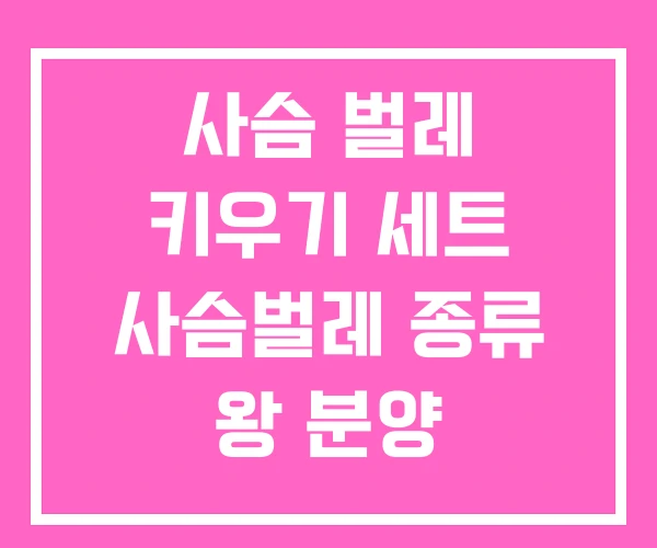 사슴 벌레 키우기 세트 사슴벌레 종류 왕 분양