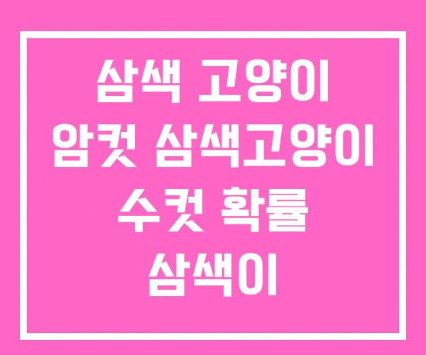 삼색 고양이 암컷 삼색고양이 수컷 확률 삼색이
