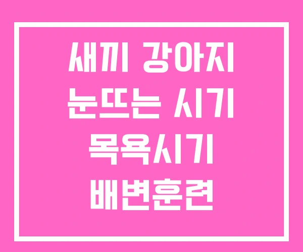 새끼 강아지 눈뜨는 시기 목욕시기 배변훈련 새끼 강아지 눈뜨는 시기 목욕시기 배변훈련