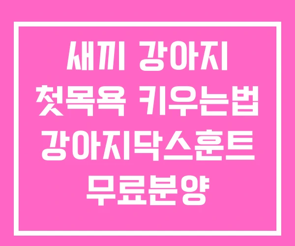 새끼 강아지 첫목욕 키우는법 강아지닥스훈트 무료분양