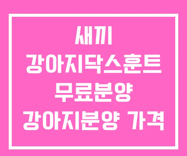새끼 강아지닥스훈트 무료분양 강아지분양 가격 새끼 강아지닥스훈트 무료분양 강아지분양 가격