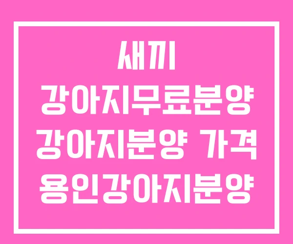 새끼 강아지무료분양 강아지분양 가격 용인강아지분양