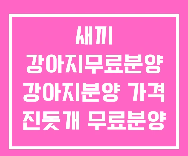 새끼 강아지무료분양 강아지분양 가격 진돗개 무료분양