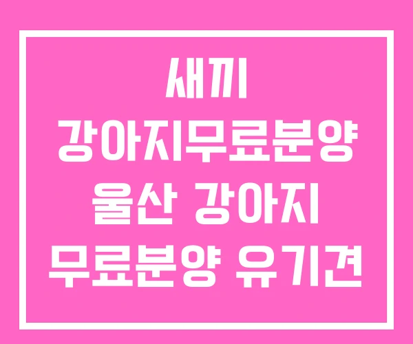 새끼 강아지무료분양 울산 강아지 무료분양 유기견