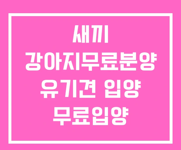 새끼 강아지무료분양 유기견 입양 무료입양