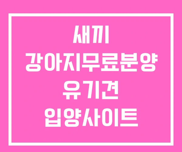 새끼 강아지무료분양 유기견 입양사이트 인천강아지무료분양