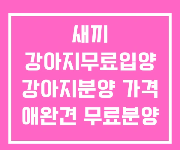 새끼 강아지무료입양 강아지분양 가격 애완견 무료분양