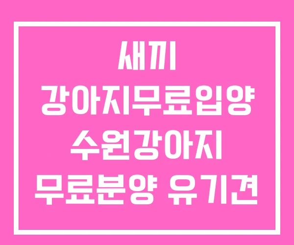 새끼 강아지무료입양 수원강아지 무료분양 유기견