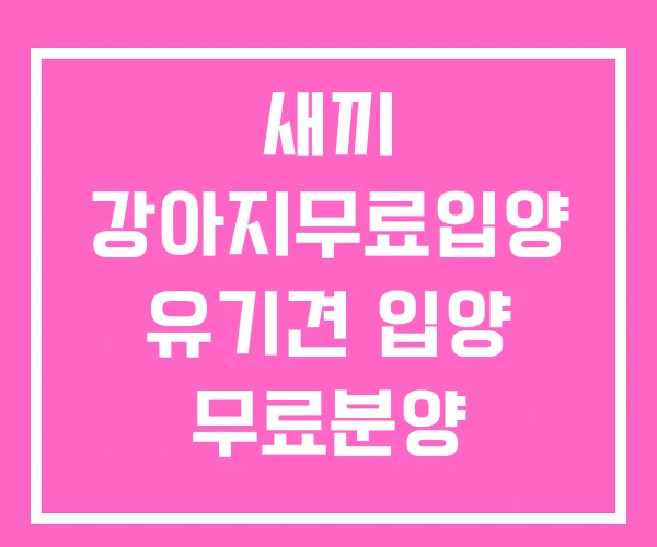 새끼 강아지무료입양 유기견 입양 무료분양